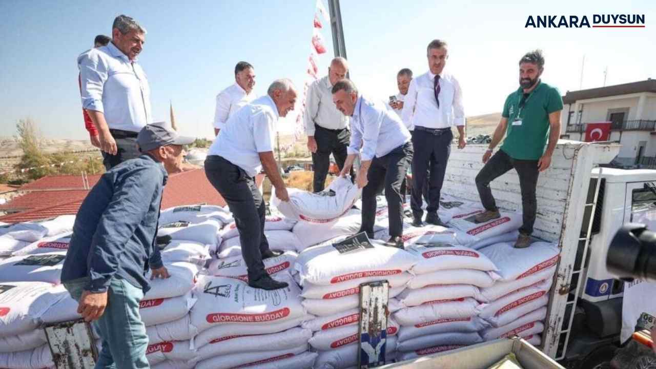 Sincan Belediyesi çiftçilere yüzde 50 hibe destekli buğday tohumu