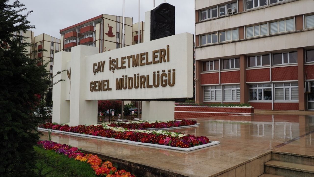Çay İşletmeleri Genel Müdürlüğü 1500 işçi alacak! Son gün 13 Mayıs
